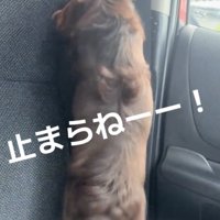 喜びは最高潮！
