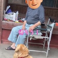 帰ろうと言われる犬
