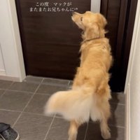 「かえってくるっ」