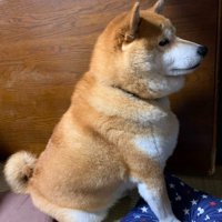 愛おしそうに見つめる