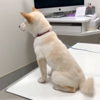 「先生、まだかな～？」