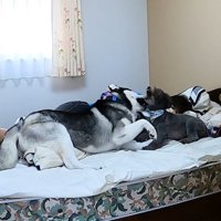 場所の取り合いスタート！