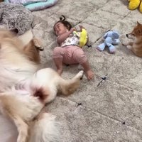 すぐに仲直り