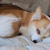 全力