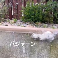 落ちてしまいました！