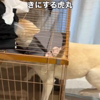 食べやすい向きになりました！