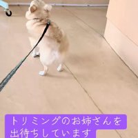 お姉さんを出待ち