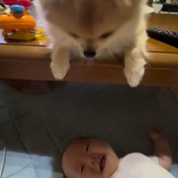 イクラちゃんと赤ちゃん8