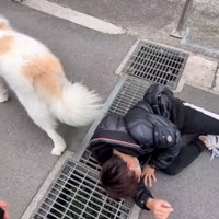 歩き出すそら君