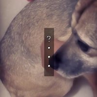 「もしかして怖くない？」