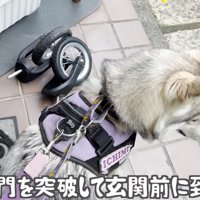 様子を見ながら門を突破