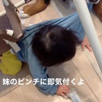 女の子を見守るダンロくん7