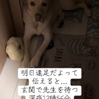 なんとか就寝