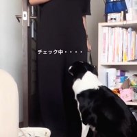 一生懸命ニオイを確認