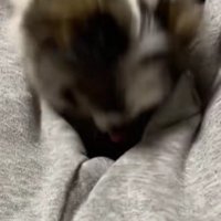 勢いよく頭を上げて…