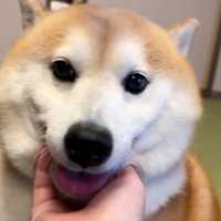 再会に歓喜♡