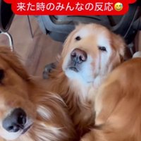 ママが帰宅したら…