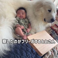 絶対に動かない