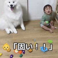 「怒られた！？」