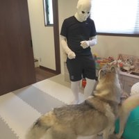 不審者(パパ)を通せんぼ