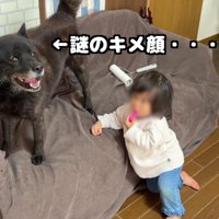 一休さんとイトちゃん