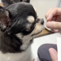 警戒心、ゼロ。