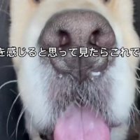 重力に負け始め…