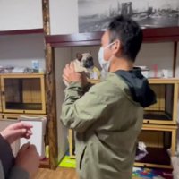 大切そうに両手で抱き上げる