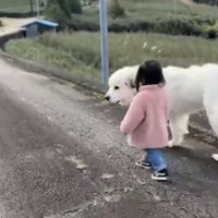 並んで歩く犬と子ども