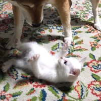 初対面と思えないほど仲良しに♪