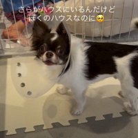 「ママ！ちょっときて！」