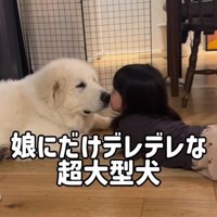 一緒に育ってきた2人