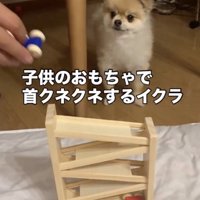 「きになる…」