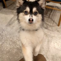 カフェの店員さんと交流中