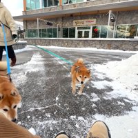 確信した瞬間に大喜び！