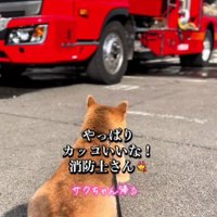 「やっぱり素敵だな…」
