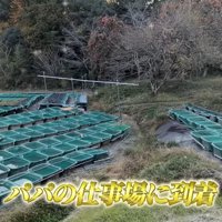 お父さんの仕事場へ…