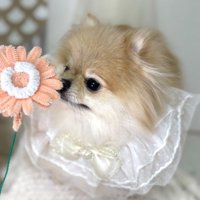 モデル