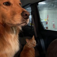 病院に到着
