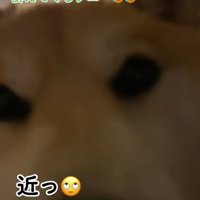 おねだりの圧がすごい！