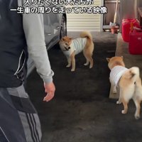まるで鬼ごっこ