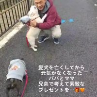 サプライズを計画