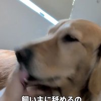 女の子が手を避けます