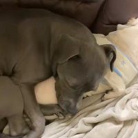 大きな後輩もできたよ