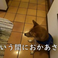 まずはお母さんをお見送り