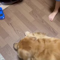 追いかけるトトちゃん