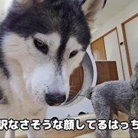 「僕を抱っこしたせいだよね…ごめんね」
