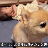 仲睦まじい2人でした