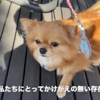 かけがえのない存在に