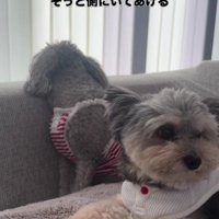 ちょっとずつ慣れようね